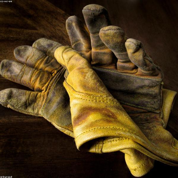 Driving Gloves